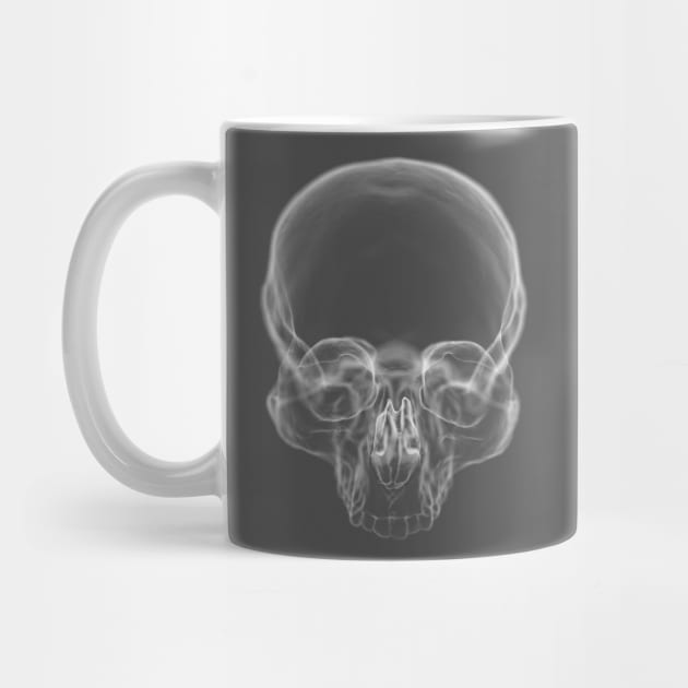 Skull X Ray by KalebLechowsk